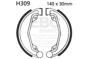 H309
