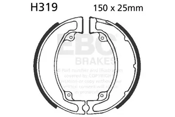 H319